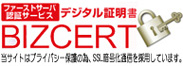 ファーストサーバセキュリティー