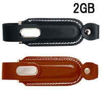 USB���ꡡCEK100A �쥶��Ž�꥿���� 2GB