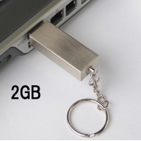USB���ꡡCET100 ������᥿�륿���� 2GB