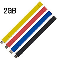 USB���ꡡCEX100�֥쥹��åȥ�����2GB