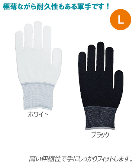 ʶL1