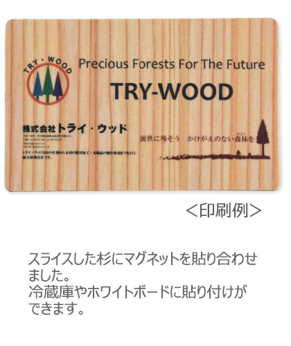 �ޥ��ͥåȥ����ȡ����������