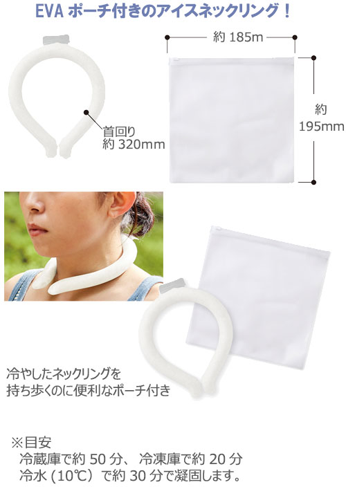 �������ͥå���󥰡�EVA�ݡ����ա�