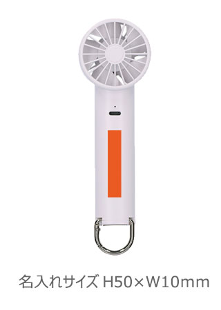 ����ӥ�����ѥץ졼�ȥե���