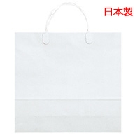 紙袋 白無地コーティングバッグ　No.6　日本製