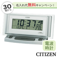 CITIZENʥȤᤶޤס8RZ102-019