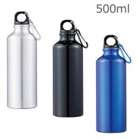 ߥݡĥܥȥ500(ӥ)