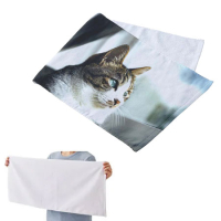 �ץ��Ȥ��䤹�����åȥ󥷥㡼��󥰥ե����������롡����ž�������